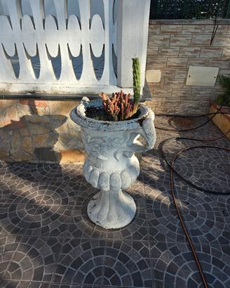 vaso per piante