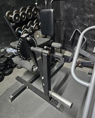 Dual Leg curl / leg extension