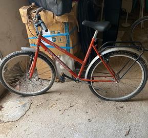 Bicicletta mountain bike extreme 2000