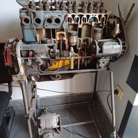 Modelli PARAVIA per autoscuole