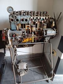 Modelli PARAVIA per autoscuole