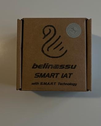 IAT BELINASSU per BMW R1200GS 18 + filtro aria