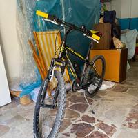 Mountain bike Lombardo 24