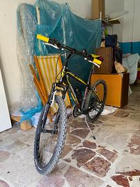 Mountain bike Lombardo 24