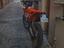 Immagine 2