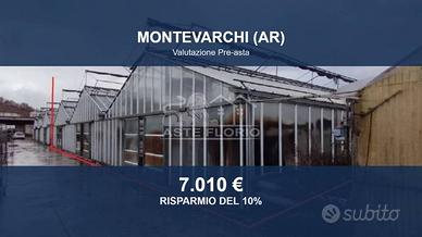 Immobile in asta di 19930 m² a Montevarchi