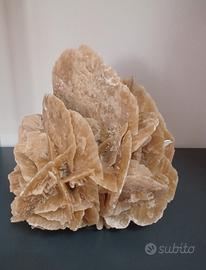 rosa del deserto 