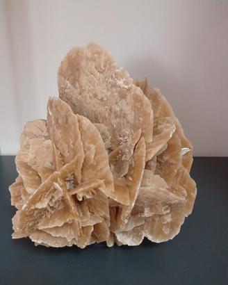 rosa del deserto 
