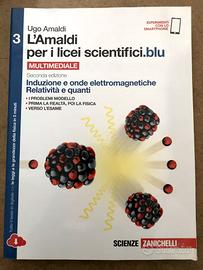 L'amaldi per i licei scientifici.blu vol.3 -Induzi