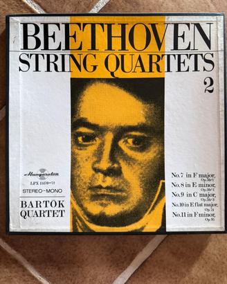 Vinili beethoven