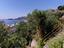 Immagine 25