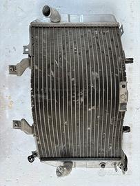 RADIATORE SUZUKI GSXR K1 - K4