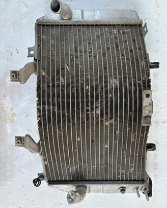 RADIATORE SUZUKI GSXR K1 - K4