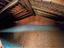 Immagine 19
