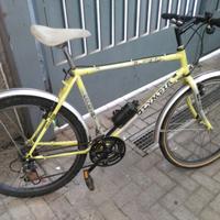 Mountain bike Olympia