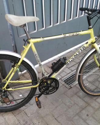 Mountain bike Olympia