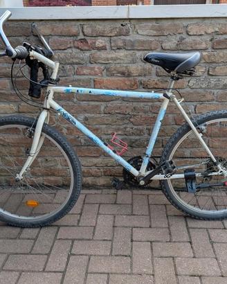 Bicicletta Vintage con Telaio Bianco e Azzurro