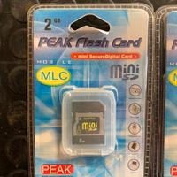 Peak Flash Card 2 GB