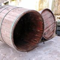 TINO ANTICO DA FERMENTAZIONE  20-25QTLI CASTAGNO