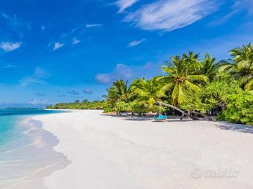 Direttore Tecnico di Agenzia Viaggi e Turismo