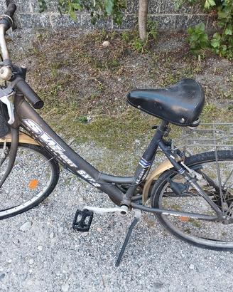 bicicletta da donna 