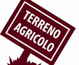 TERRENO AGRICOLO DI 85000 MQ A CAMPODARSEGO