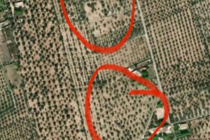 Terreno/ uliveto a macchia di Monte Sant'Angelo