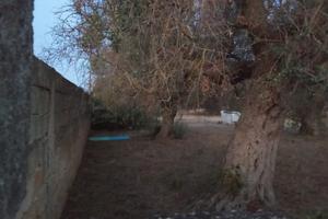 Terreno parzialmente edificabile