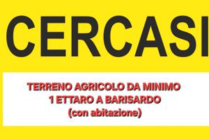 Terreno agricolo (con casa) zona Bari Sardo