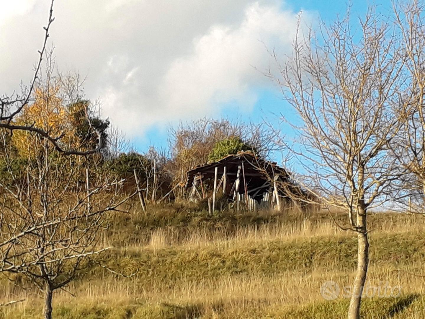 Terreno agricolo e boschivo - Vista 3