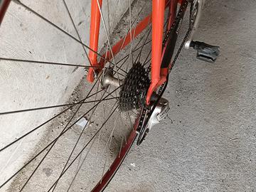 bici specialized
