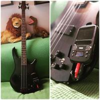 RIBASSO Basso Synth Ibanez SRKP4