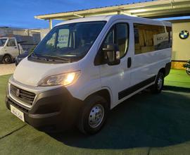 Fiat Ducato 9 posti Anno 2017