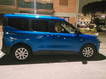 Ford Tourneo Cuorrier