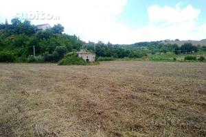 Si vende Terreno agricolo con rudere in San Fele