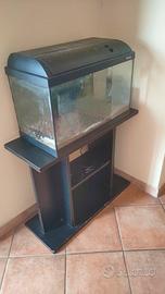 acquario 60 cm 