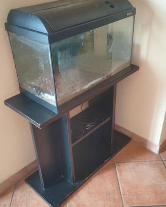 acquario 60 cm 
