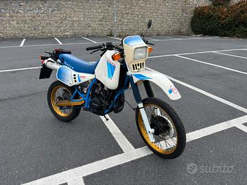 Gilera rc Rally 250 Arizona