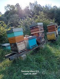 Melario per apicoltura