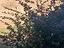 Immagine 11