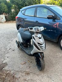zip sp trofeo