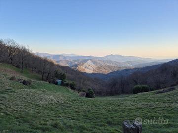 TER. AGRICOLO A MIGNANEGO