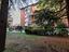 Immagine 26