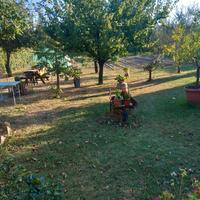 Terreno agricolo