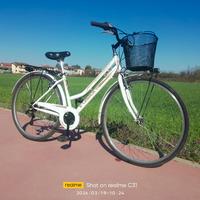 BICICLETTA CITYBAYK DA 26