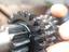 Immagine 6