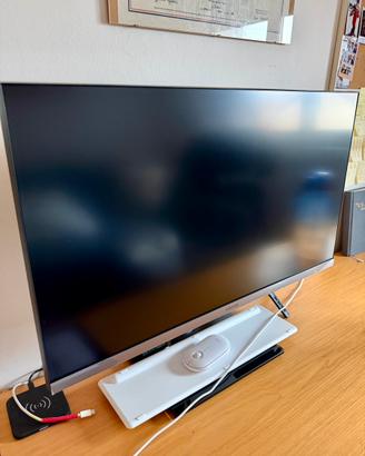 Schermo monitor samsung