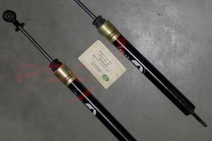 Ammortizzatori posteriori Alfa Romeo Alfasud