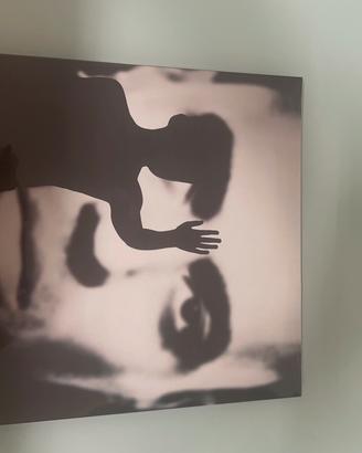 Vinile di maraccash