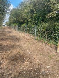 Terreno vicino il mare